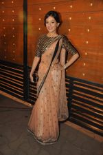 Amrita Rao at Filmfare Awards Red Carpet 2014 on 24th Jan 2014